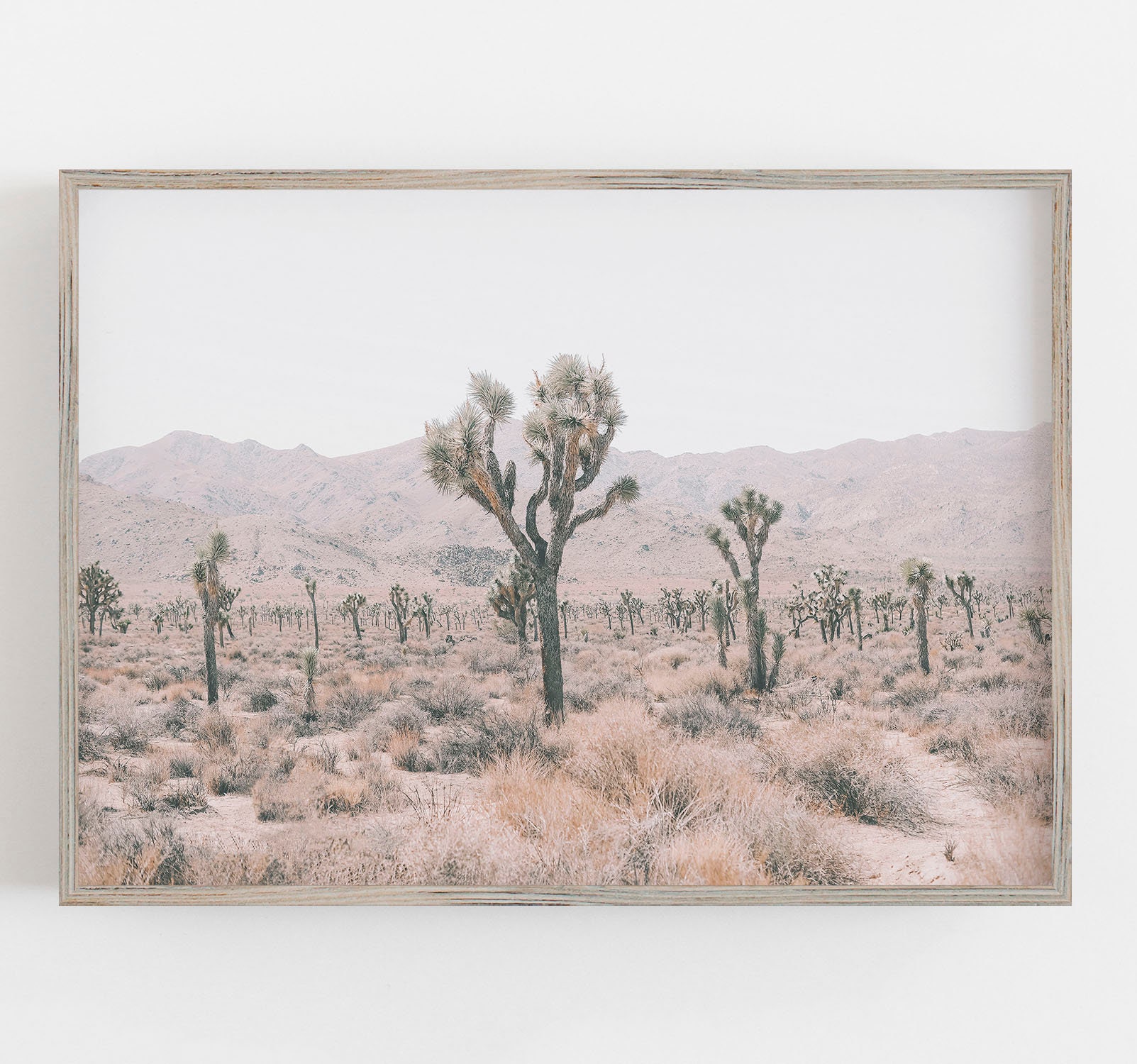 Joshua Tree Wall Art Desert Wall Art Boho Wall Decor Etsy