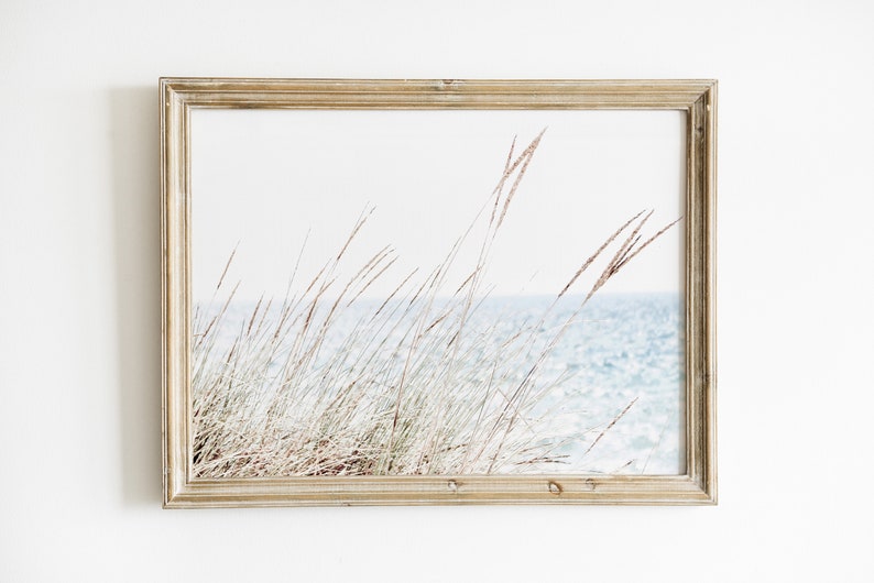Beach Wall Art, Seagrass Wall Art, Coastal Wall Decor, Soft Muted