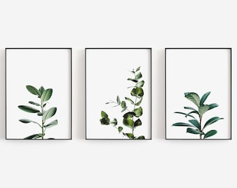 Botanical Art, Green Plants, Greenery Wall Art, Rubber Plant Art, Minimalist Wall Art, Set of 3 Prints, DIGITAL DOWNLOAD, PRINTABLE Wall Art