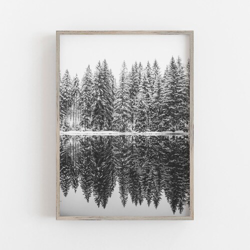 Winter Wall Art Black and White Art Snowy Trees Print Etsy