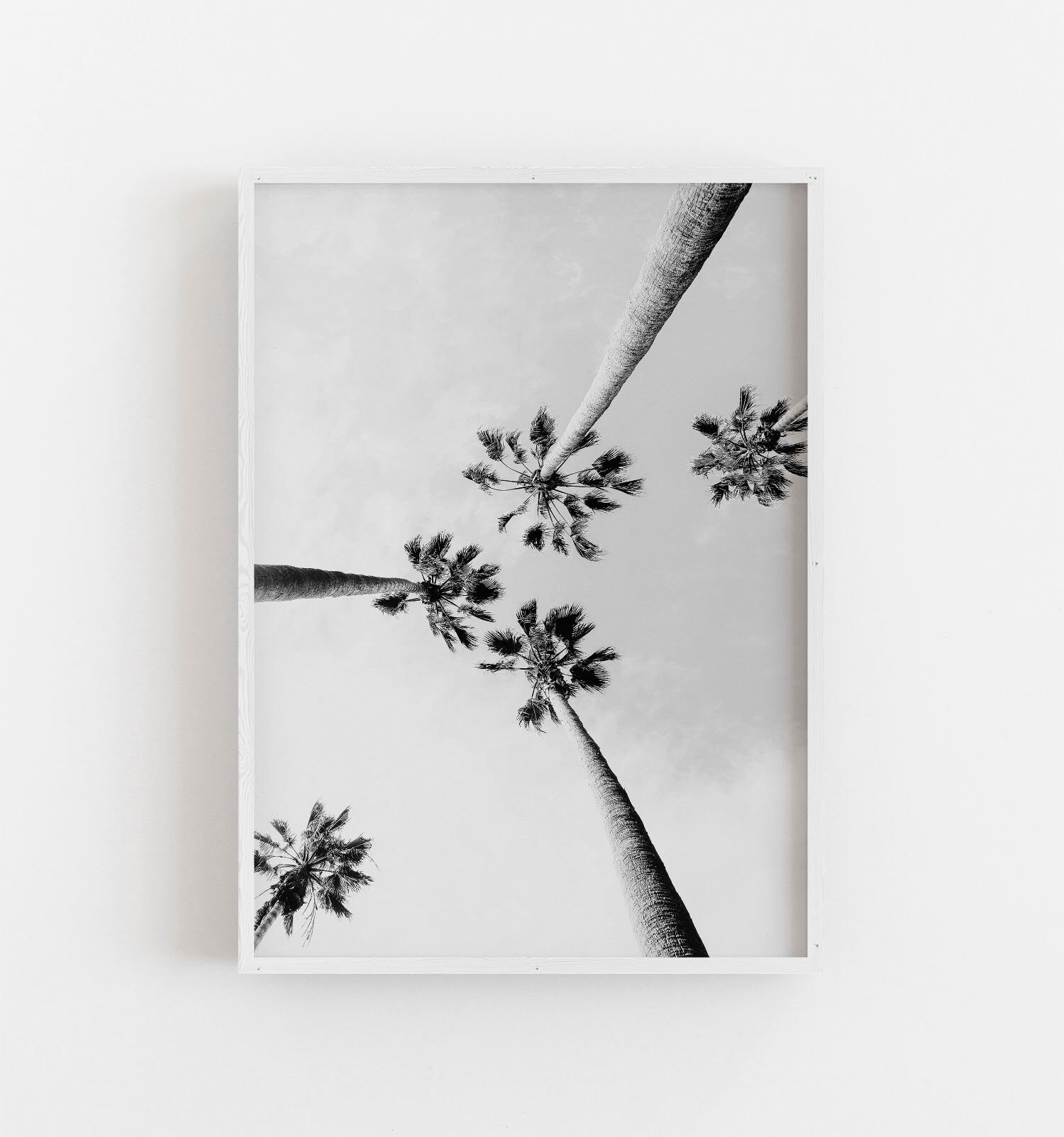 Palm Trees Wall Art Black and White Art Coastal Wall Decor Etsy
