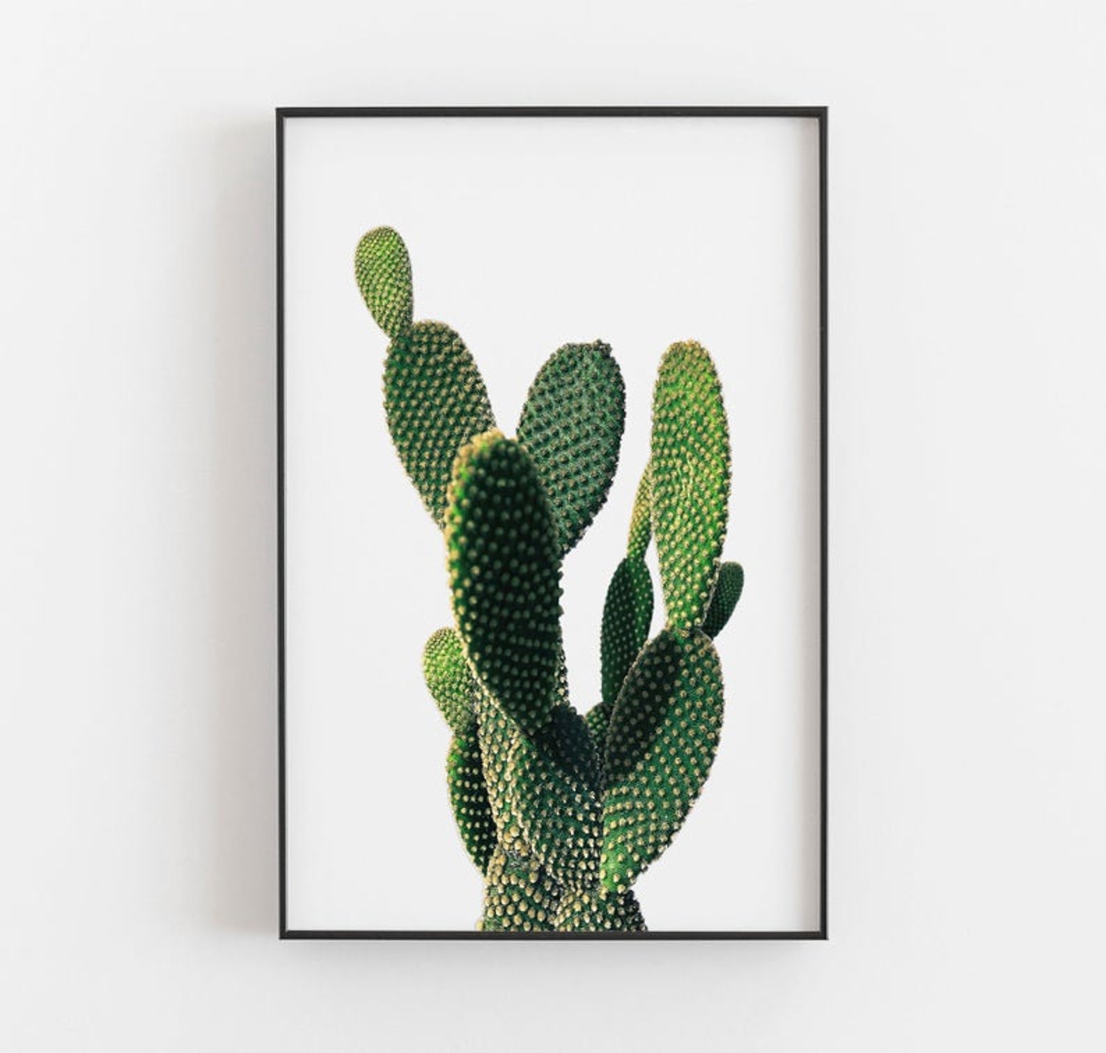 Cactus Prints Set of 2 Prints Cactus Wall Art Desert Etsy