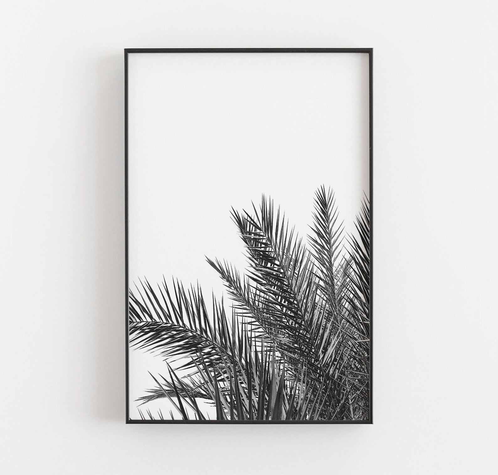 Palm Tree Wall Art Black and White Art Coastal Wall Decor - Etsy