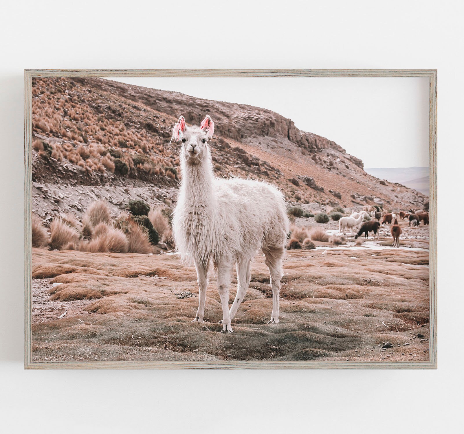 Llama Wall Art Boho Wall Decor Muted Neutral Colors Animal Etsy