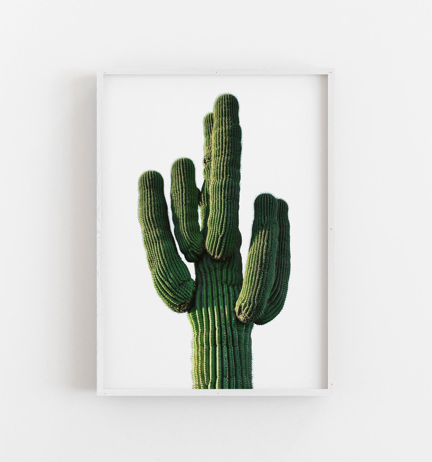 Cactus Wall Art Desert Wall Art Boho Wall Art Saguaro Etsy