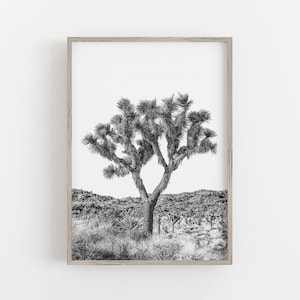 Joshua Tree Wall Art, Black and White Art, Desert Wall Art, Joshua Tree Print Boho Wall Decor DIGITAL DOWNLOAD, PRINTABLE Art Large Wall Art