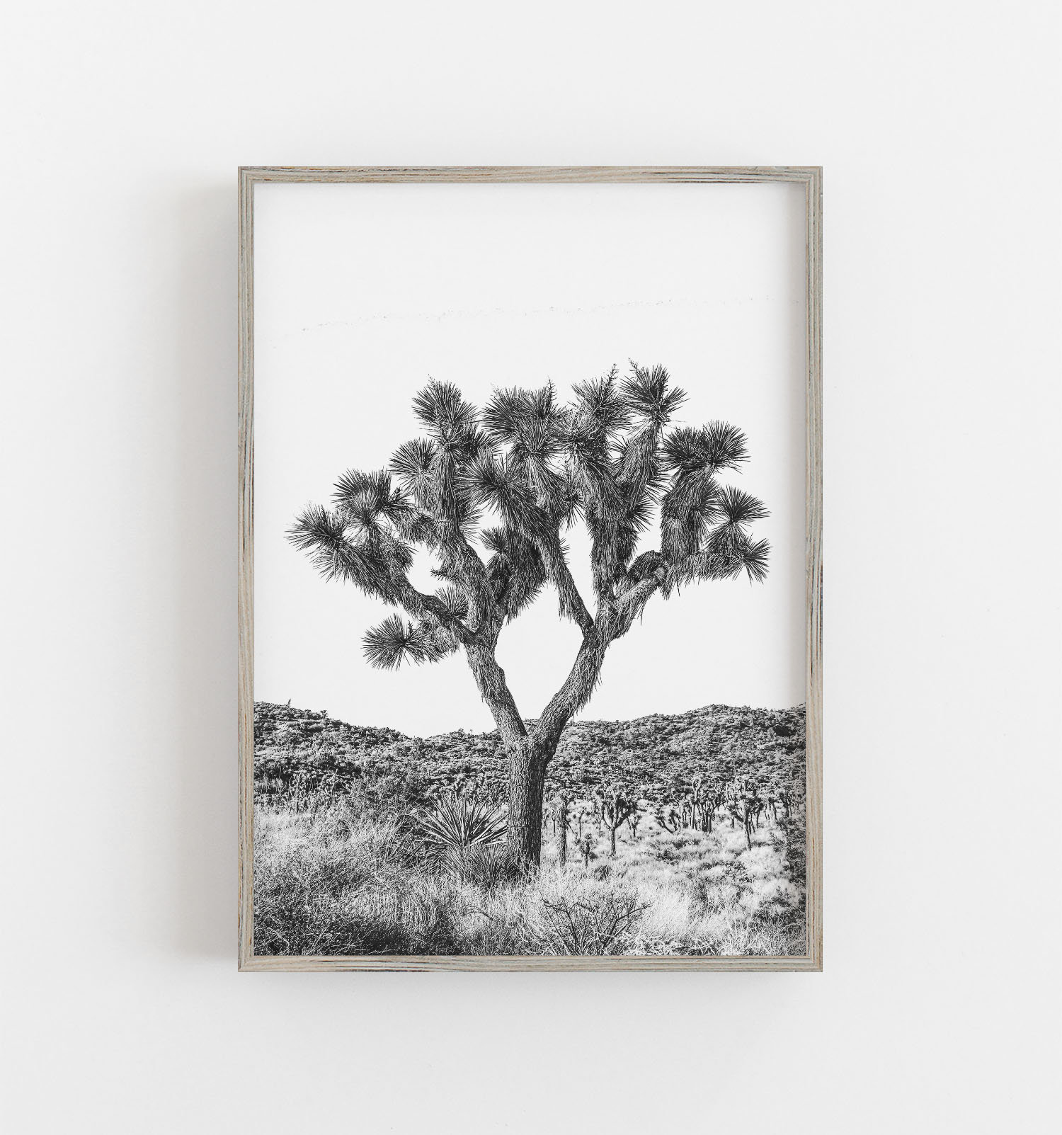 Joshua Tree Wall Art Black and White Art Desert Wall Art Etsy