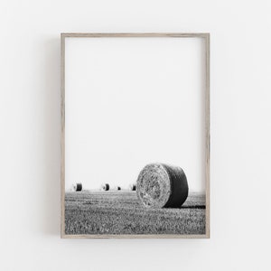 May include: Black and white framed print featuring a field with several hay bales. The foreground shows a large, round hay bale, with others receding into the distance. The sky is bright white.