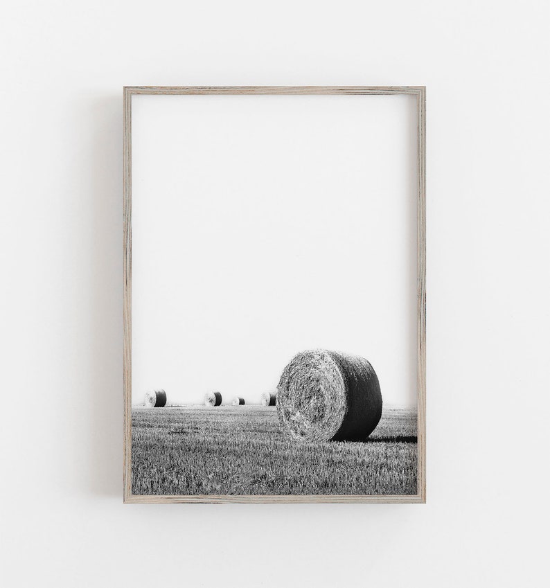 May include: Black and white framed print featuring a field with several hay bales. The foreground shows a large, round hay bale, with others receding into the distance. The sky is bright white.