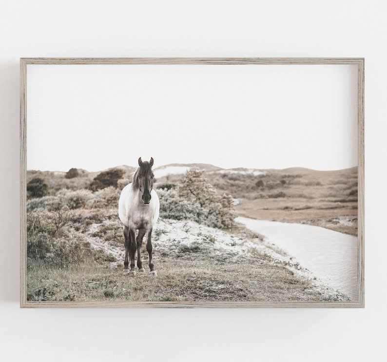 Horse Wall Art Modern Farmhouse Wall Decor Horse Lover Art | Etsy