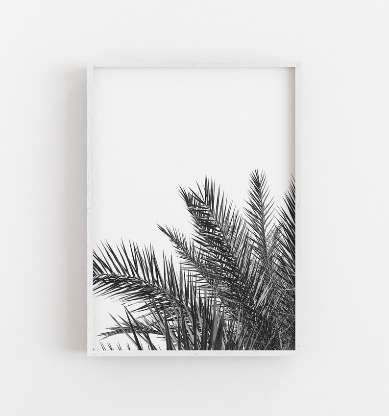 Palm Tree Wall Art Black and White Art Coastal Wall Decor Etsy