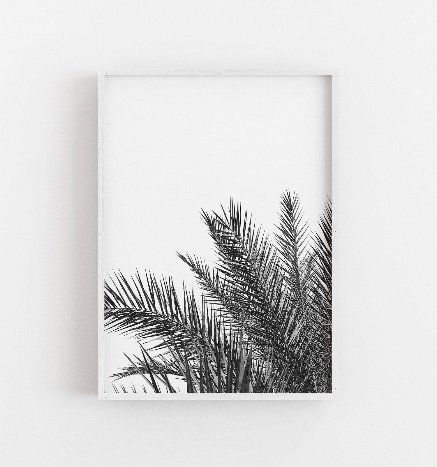 Palm Tree Wall Art Black and White Art Coastal Wall Decor Etsy