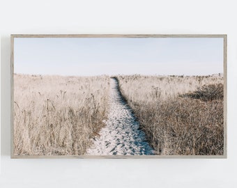 Arte para TV com moldura de praia, Arte para TV Samsung Frame, Arte de parede com vegetação marinha, Arte de parede com tema de praia, Arte de parede minimalista, Decoração costeira, Caminho de praia, BAIXAR
