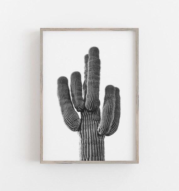 Cactus Wall Art, Black and White Art, Boho Vibes Decor, Saguaro Cactus Art, Arizona Wall Art, Trendy Art DIGITAL DOWNLOAD PRINTABLE Wall Art