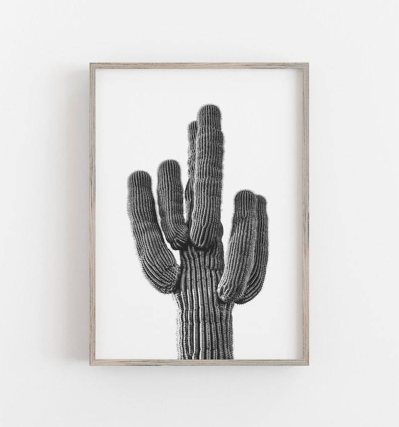 Cactus Wall Art Black and White Art Boho Wall Decor Saguaro Etsy