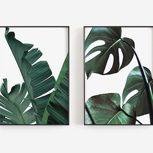 May include: Two framed botanical prints. One features large, green tropical leaves, the other shows Monstera leaves. Both are set against a white background. The frames are black. The prints would suit a modern interior.