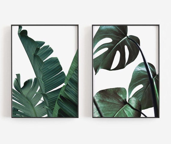 Monstera Leaves Art, Banana Leaves Art, Botanical Wall Art, Tropical Wall Decor, DIGITAL DOWNLOAD, PRINTABLE Wall Art, Large Wall Art