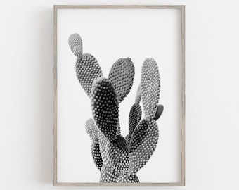 Kaktus Wandkunst, Schwarzweiß-Kunst, Hasenohr Kaktus Druck, Wüsten Wandkunst, Boho Wandkunst, DIGITAL DOWNLOAD, DRUCKBARE Wandkunst Große Kunst