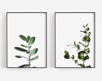 Green Plants Art, Trendy Wall Art, Eucalyptus Art, Rubber Plant Art, Botanical Wall Art Preppy Aesthetic DIGITAL DOWNLOAD PRINTABLE Wall Art