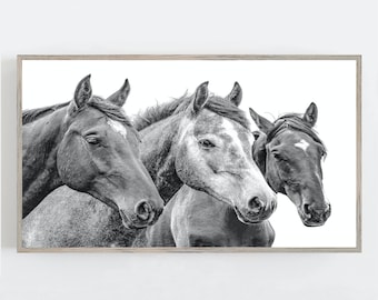 Samsung Frame TV Art, Black and White Art, Farmhouse Wall Decor, Horse Wall Art, Animal Wall Art, Digital DOWNLOAD, Digital Art for Tv
