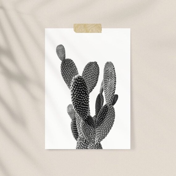 Cactus Wall art Black and White Art Print Minimalist Poster Scandinavian Art Boho Decor Plant Desert Cacti Opuntia Botanical Printable art