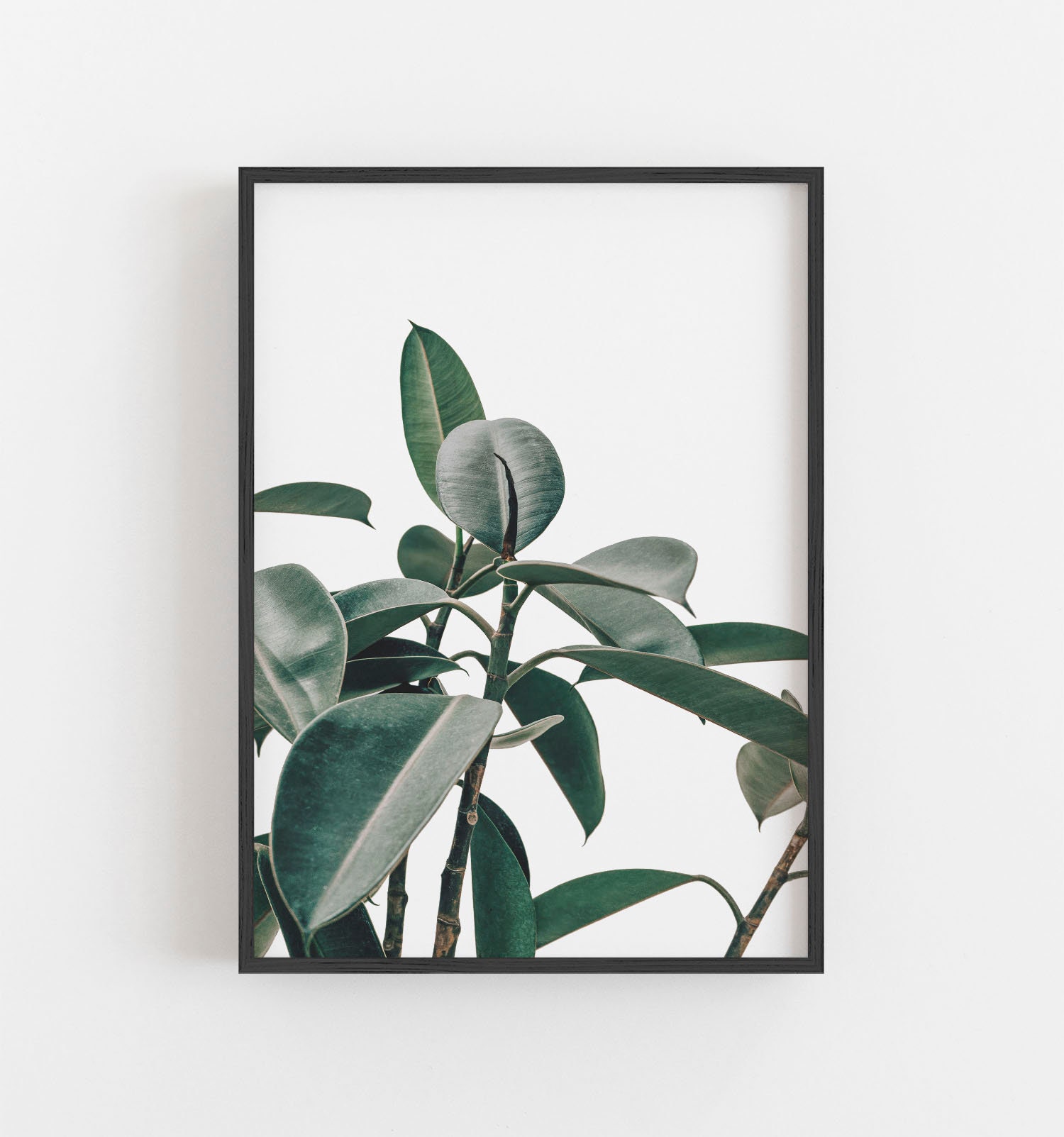 Greenery Wall Art Green Plant Art Botanical Wall Art Green Etsy