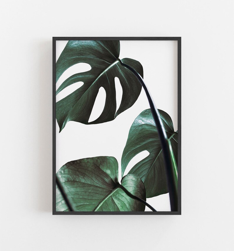 Monstera Wall Art Botanical Print Tropical Wall Decor Green Etsy