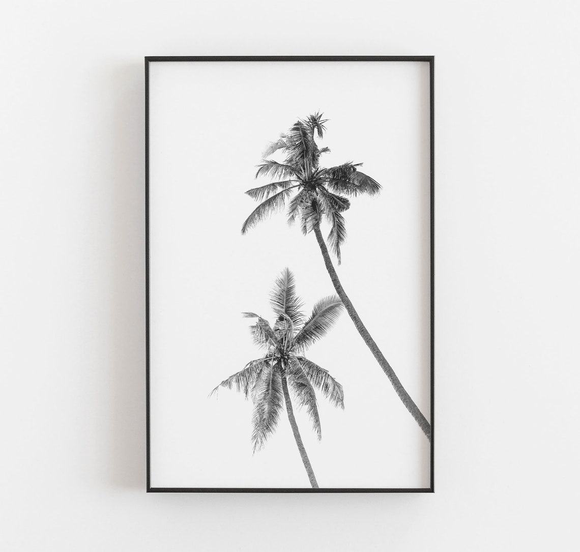Palm Trees Wall Art Black and White Art California Art Etsy