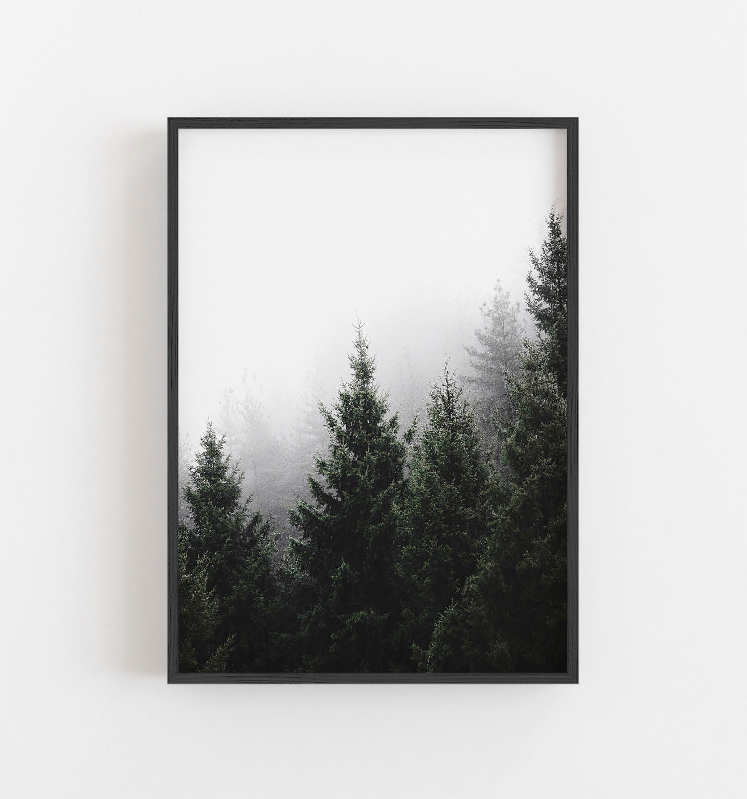 Forest Wall Art Nature Wall Decor Trees in Mist Print Muted Etsy Canada