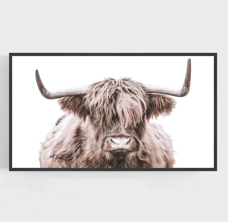 May include: A close-up of a brown Highland cow with long, shaggy fur and large horns. The cow is looking directly at the camera with a serious expression.