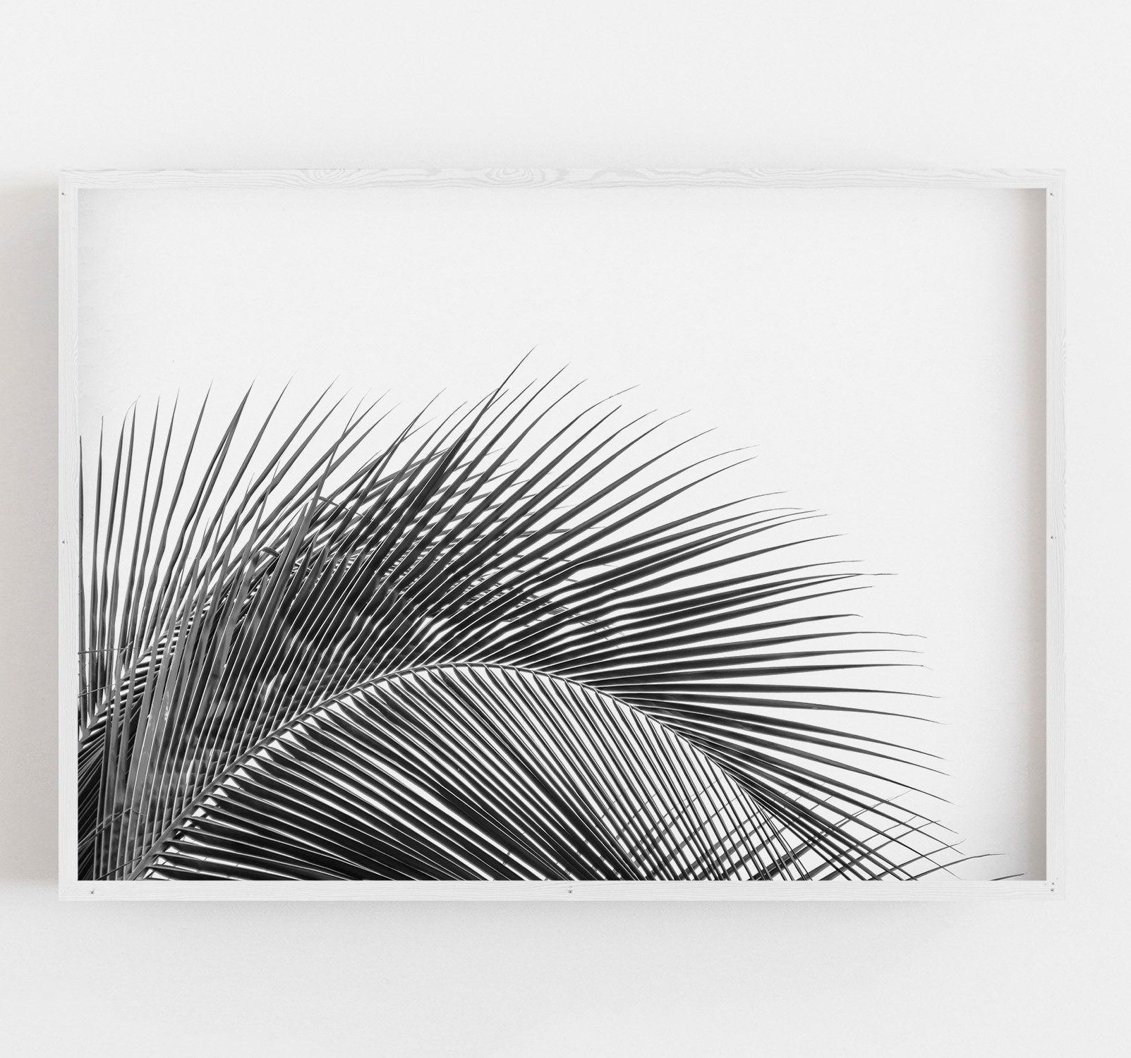 Palm Leaf Wall Art, Black and White Art, Minimalist Art, Boho Wall ...