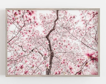 May include: A framed print featuring a view looking up through a blooming magnolia tree. The image showcases a multitude of pink flowers and branches against a bright sky. The frame is a light, natural wood color.