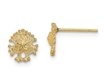 Sparkling Sand Dollar Stud Earrings main image 1