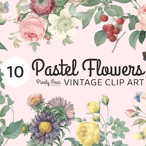 10 PNG Vintage Pastell Blumen Illustrationen digitaler Download, botanische Clip Art, Natur Illustrationen, Vintage Grafiken