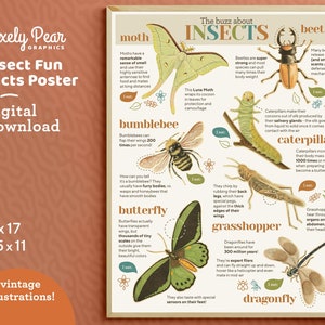 Insectos educativos Datos divertidos Cartel Descarga digital / Impresión de insectos / Montessori / Decoración de la escuela en el hogar / Decoración del aula de la naturaleza / Carteles de animales