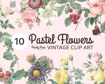 Vintage Pastel Flower Illustrations, Botanical Graphics (PNG Digital Download)