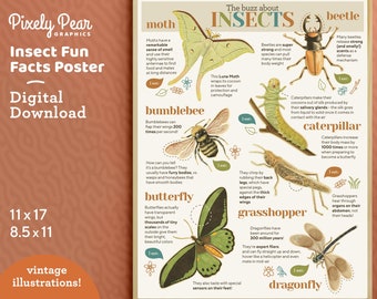Educatieve bugs leuke weetjes poster digitale download | Insecten afdrukken | Montessori | Decor voor thuisonderwijs | Natuur klaslokaal decor | Dierenposters