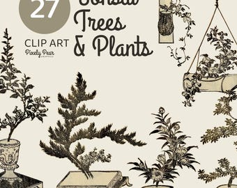 27 PNG Vintage Bonsai Trees & Potted Plants, Plant Clipart, Vintage Tree Illustrations, Nature Journal Clipart