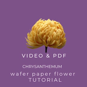 Esspapier Chrysantheme Anleitung: Essbare Blume Cake Topper (VIDEO + PDF)