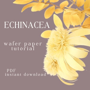 Pdf ECHINACEA ECHINACEA Anleitung, Tortenaufleger, Tortenblumen, Oblatenpapier Blumen, Tortendekoration Anleitung, essbare Blumen