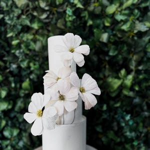 WAFER PAPER COSMOS flowers  for wedding, celebration cakes, wafer paper cake decor, cake topper, edible flowers, wedding gift