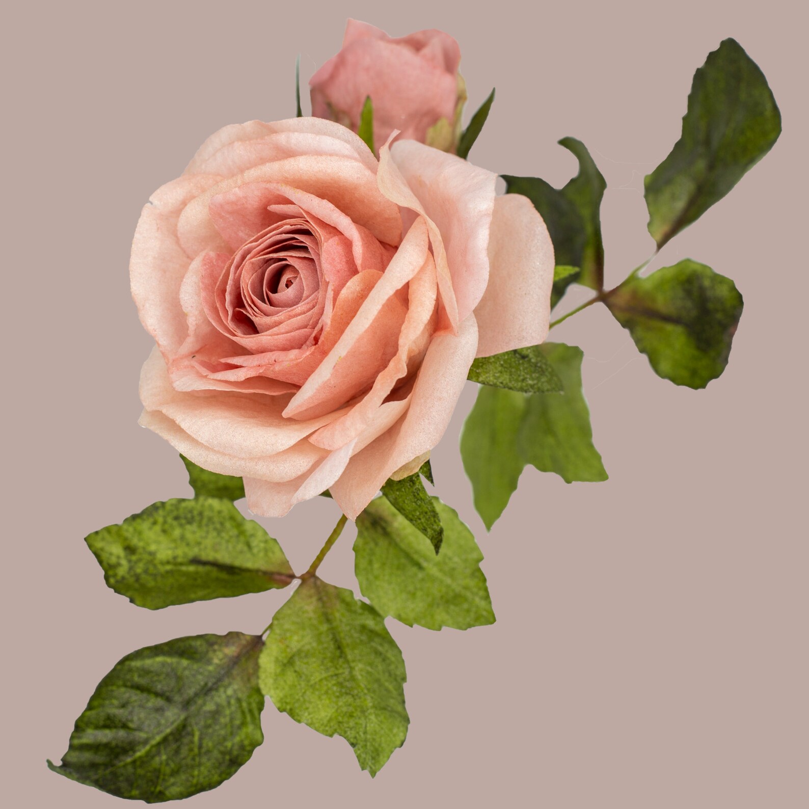 Pdf WAFER PAPER ROSE Tutorial How to Make Wafer Paper Rose Etsy