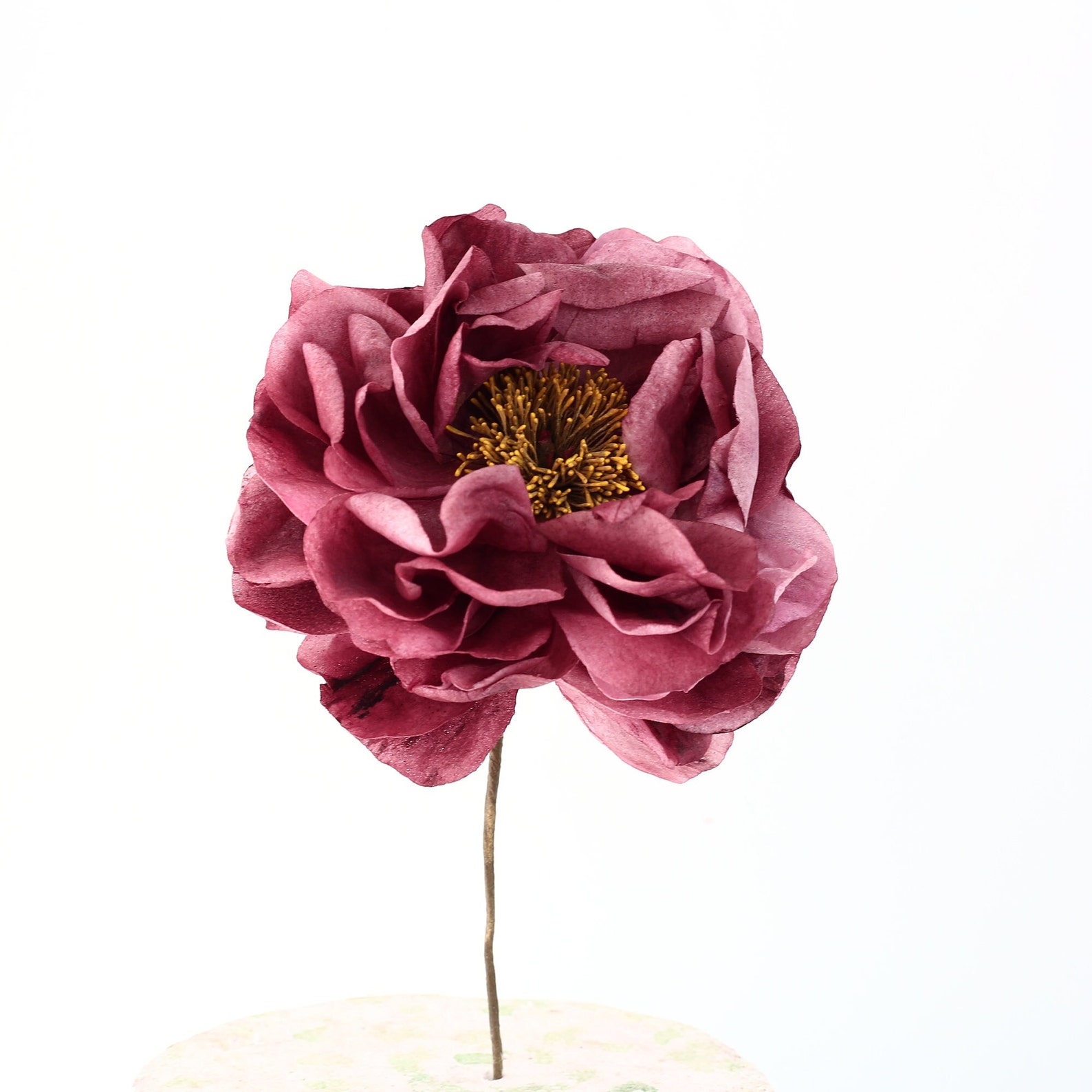 WAFER PAPER PEONY Wafer Paper Flowers Edible Flowers Etsy