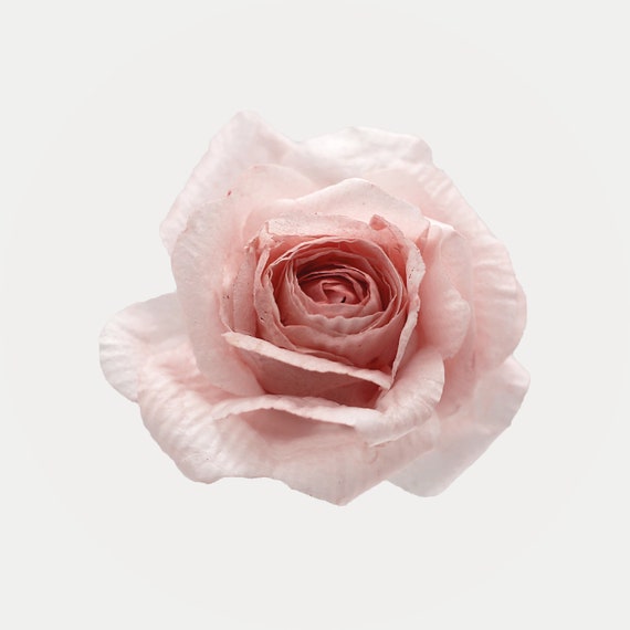 White vintage rose baker hoodie sale