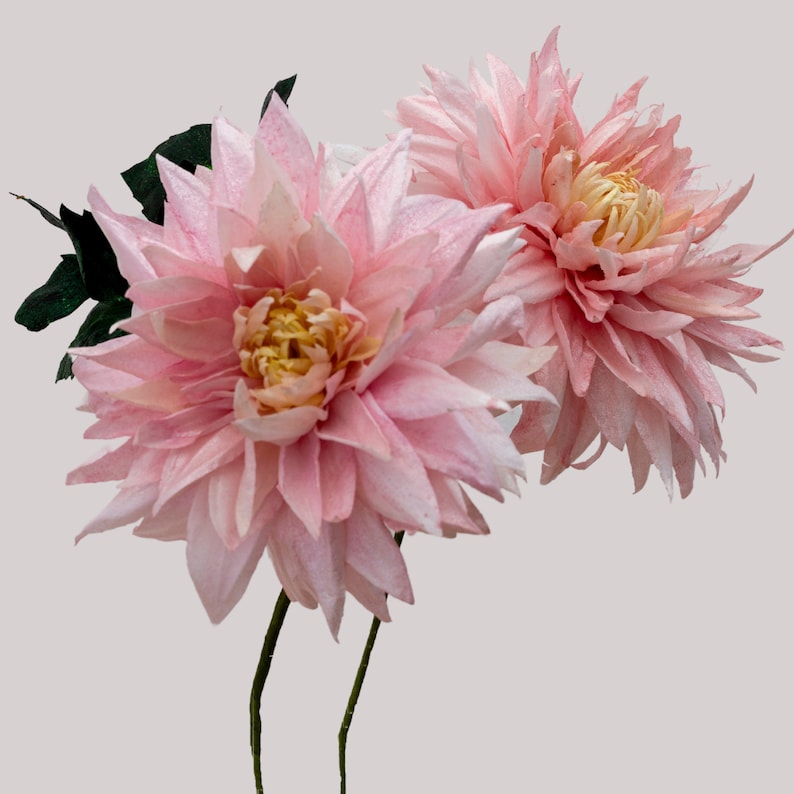 WAFER PAPER DAHLIA Wafer Paper Flowers Edible Flowers Etsy