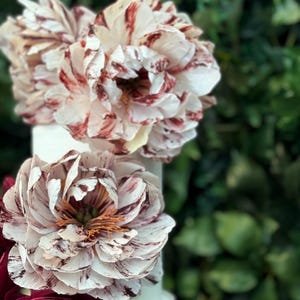 WAFER PAPER PEONY, wafer paper flowers, edible flowers, wedding cake topper, cake flowers, wedding cake flowers, wedding flowers