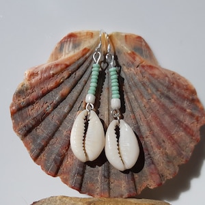 May include: A pair of earrings featuring cowrie shells and turquoise beads suspended from silver hooks. The earrings are presented on a seashell.