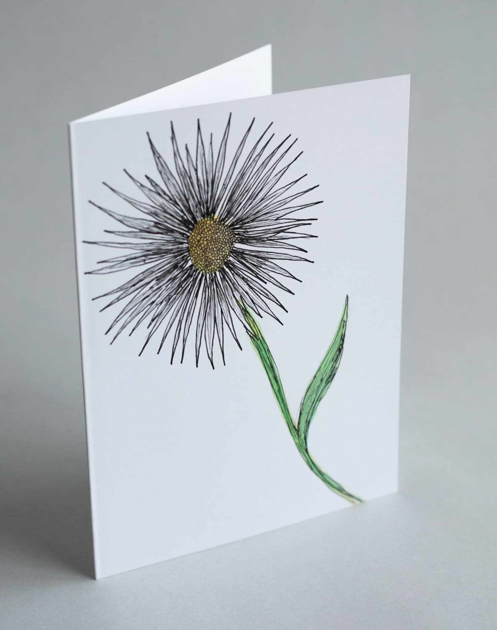 White Flower Blank Greeting Cards pack of 2 Etsy