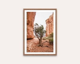 Southwest Desert Print - desert wall art, digital download, travel photography, printable art, southwest, nature, home decor, arizona
