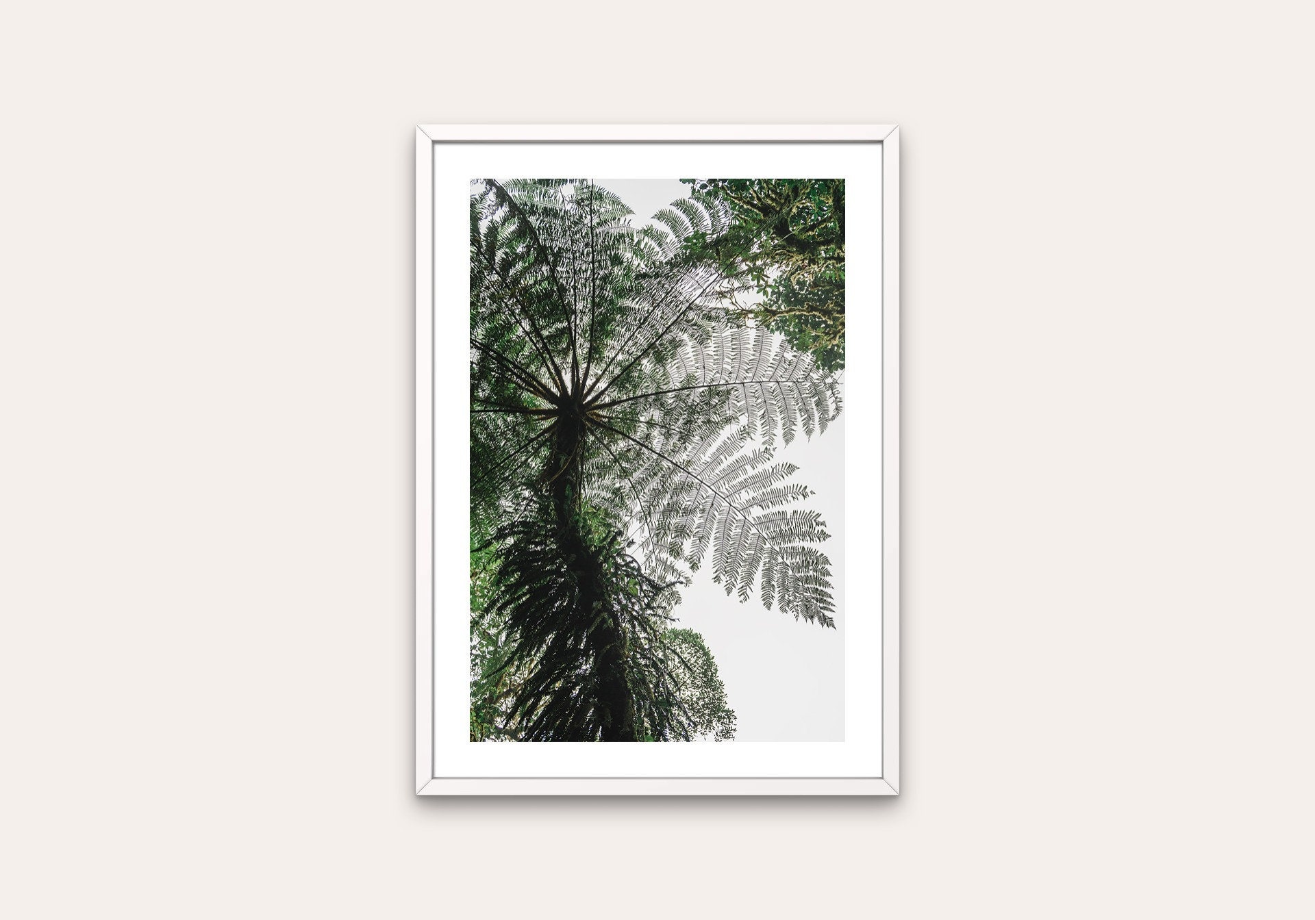 Rainforest Tree Print - Nature Wall Art, Digital Download, Travel ...